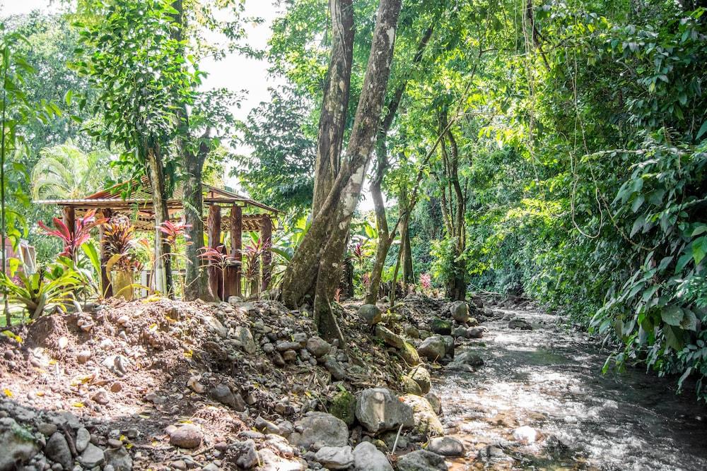Hotel Lavas Del Arenal La Fortuna Eksteriør billede