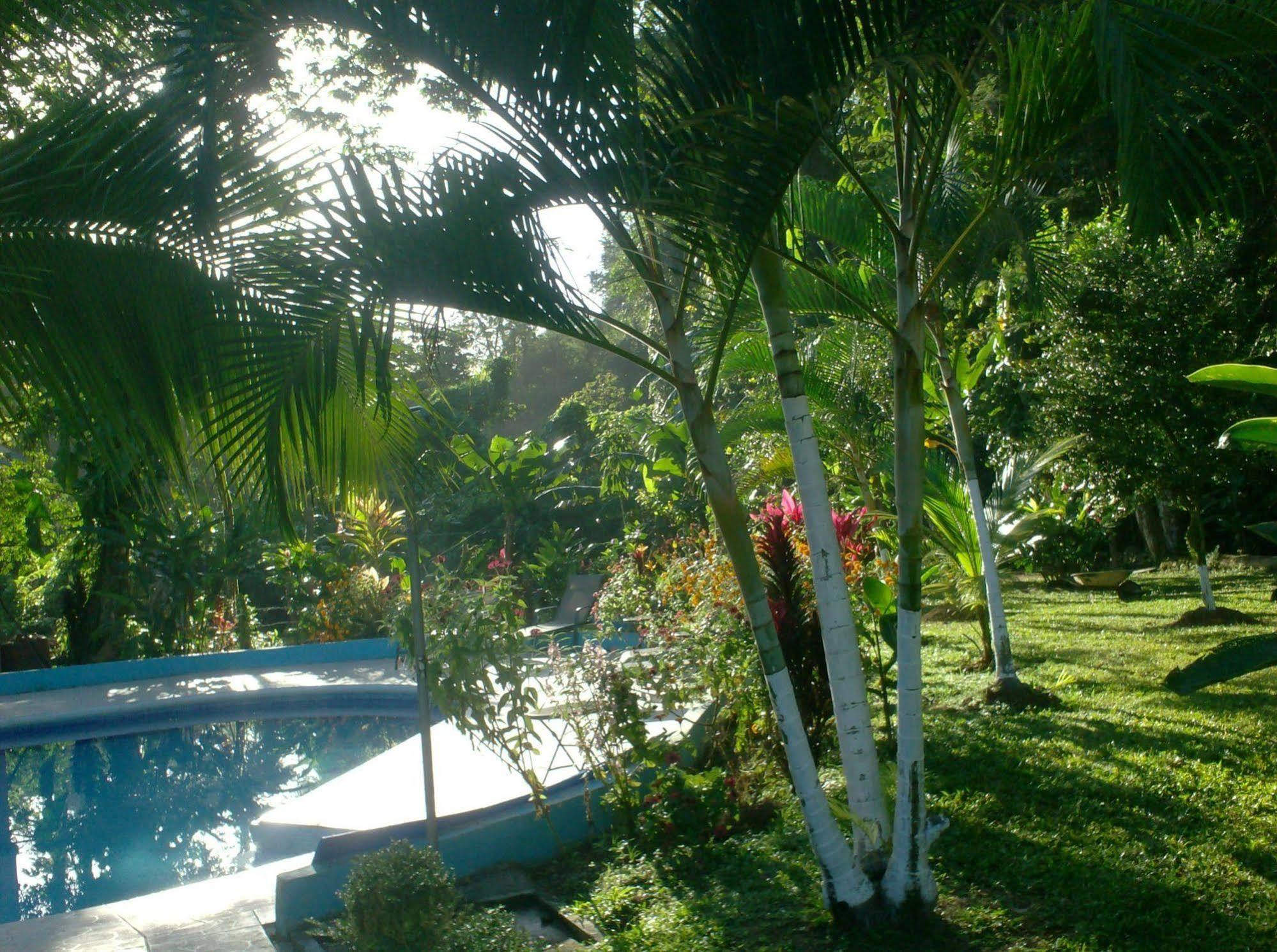 Hotel Lavas Del Arenal La Fortuna Eksteriør billede