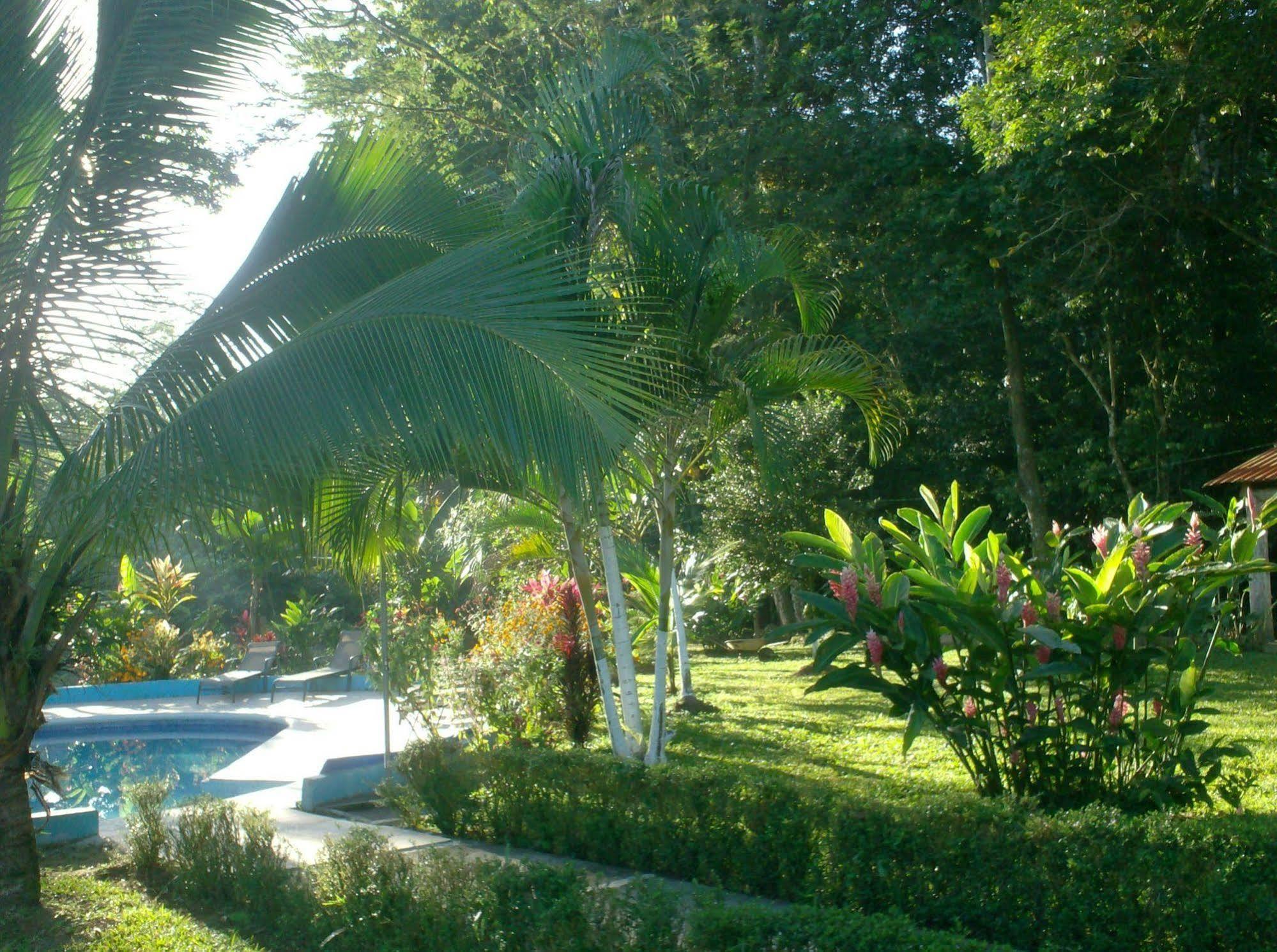 Hotel Lavas Del Arenal La Fortuna Eksteriør billede