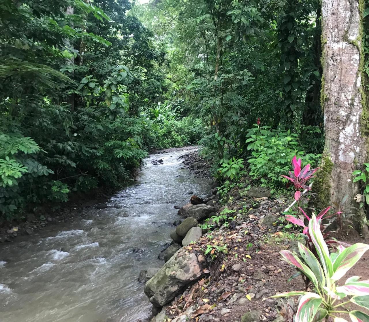 Hotel Lavas Del Arenal La Fortuna Eksteriør billede