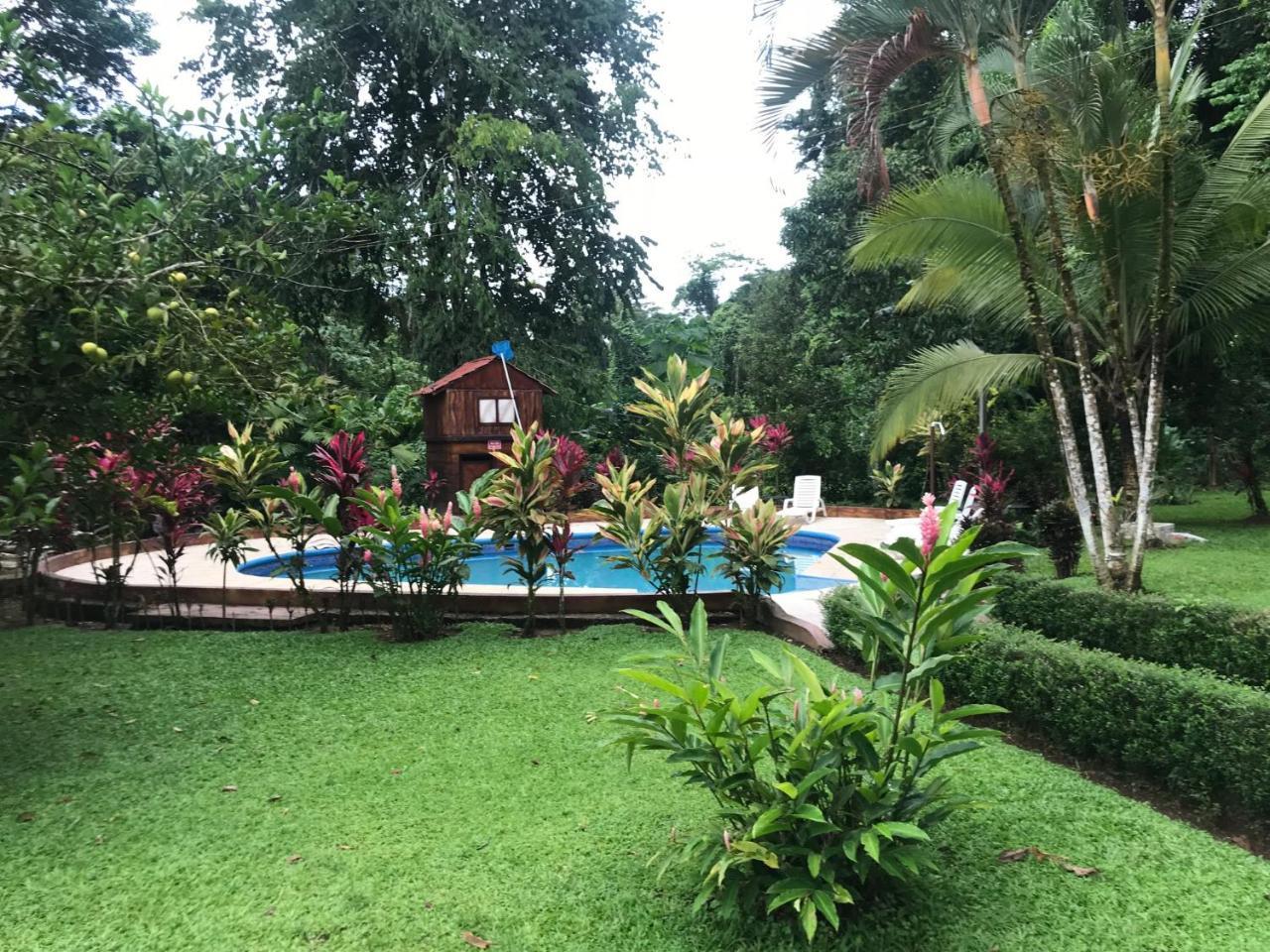 Hotel Lavas Del Arenal La Fortuna Eksteriør billede